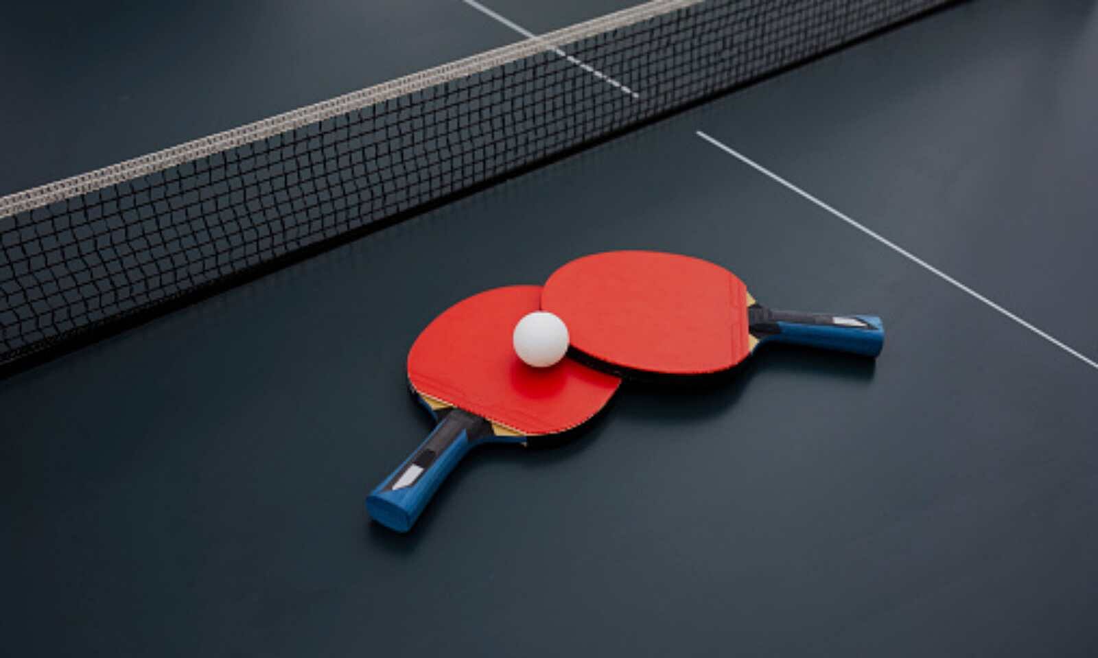 Where to find the best table tennis table suppliers argmac